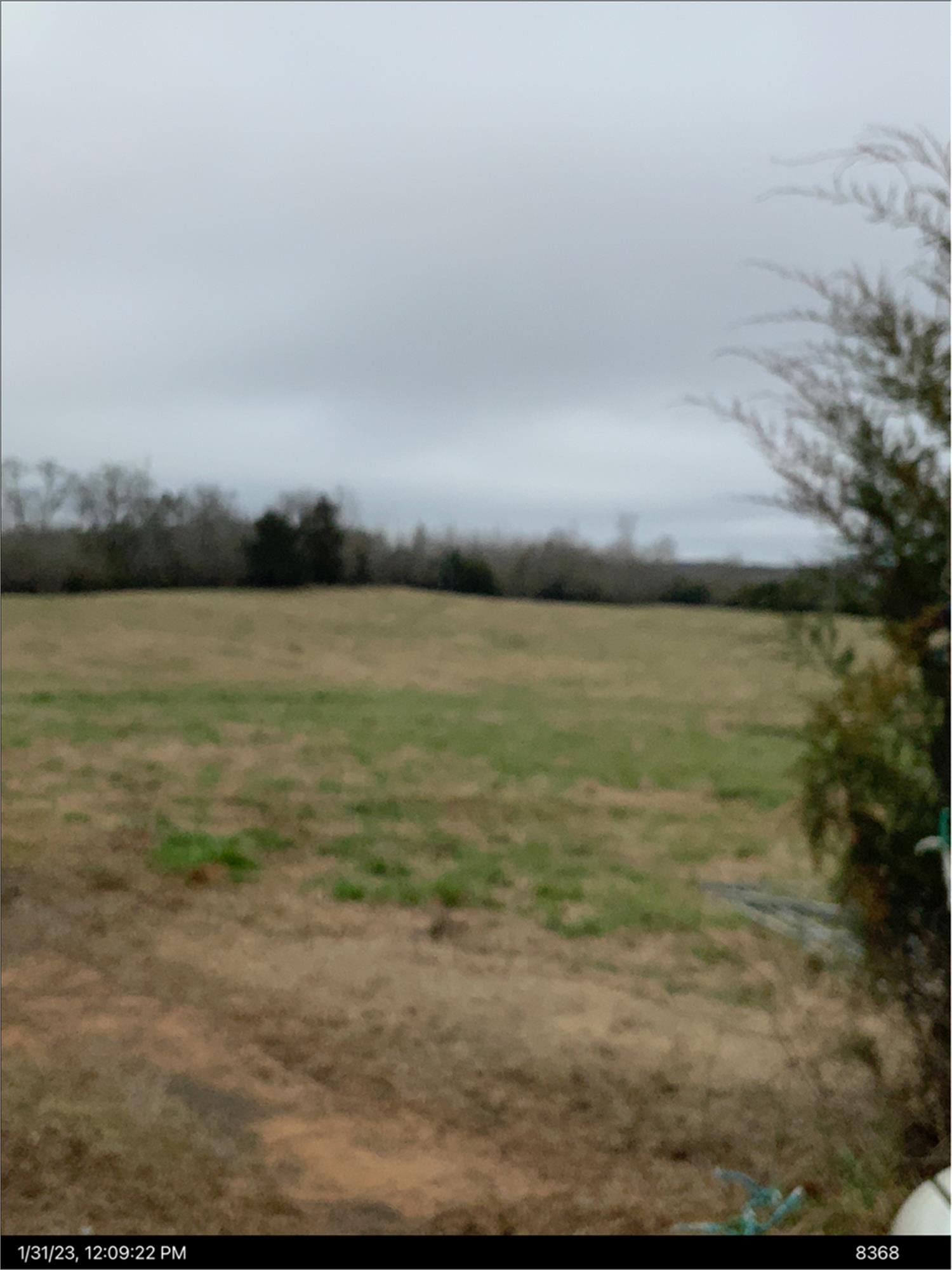 190 Powell Church Road, Talbotton, GA 31827