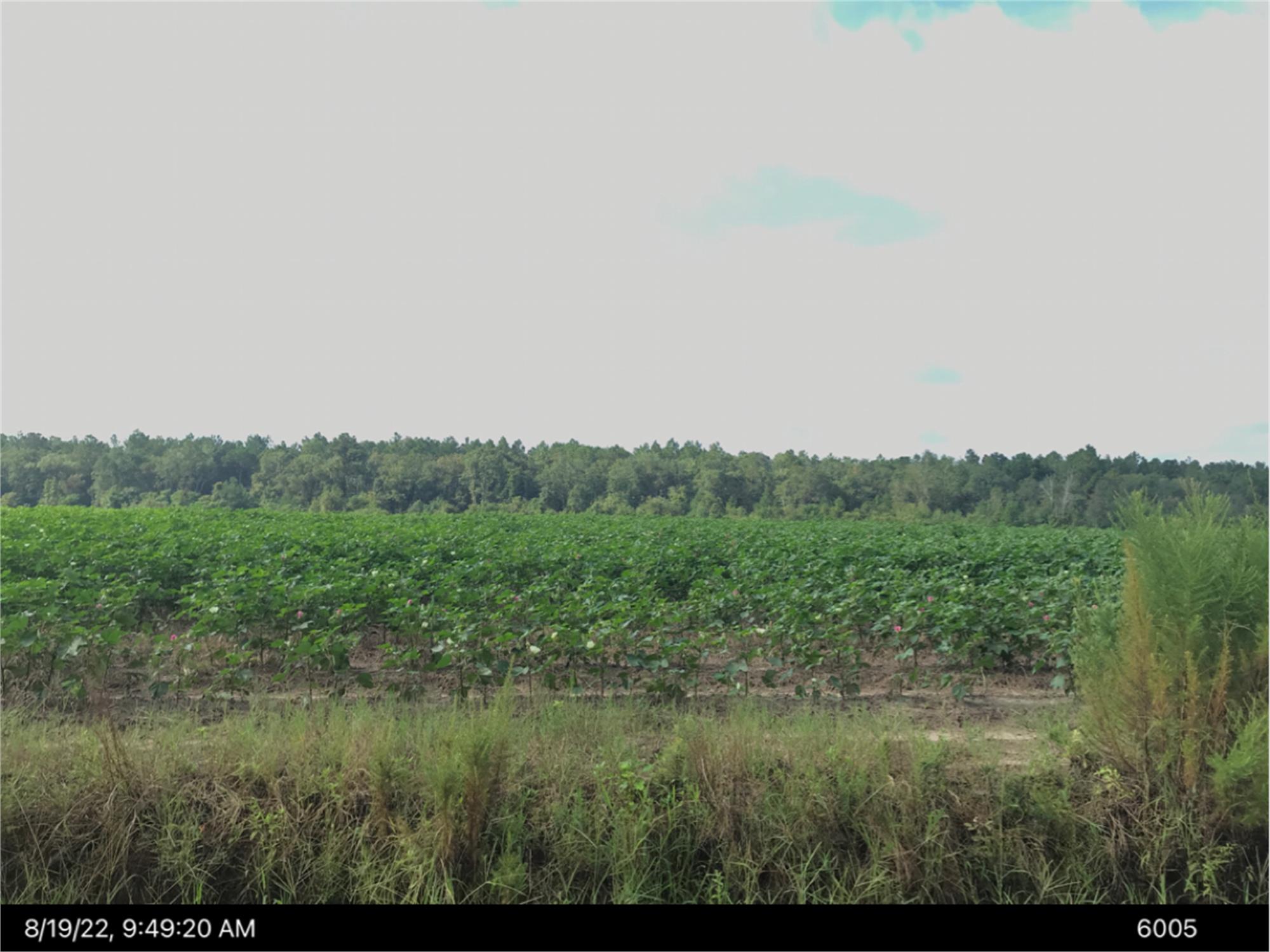 Pleasant Hill Rd, Pierce, GA