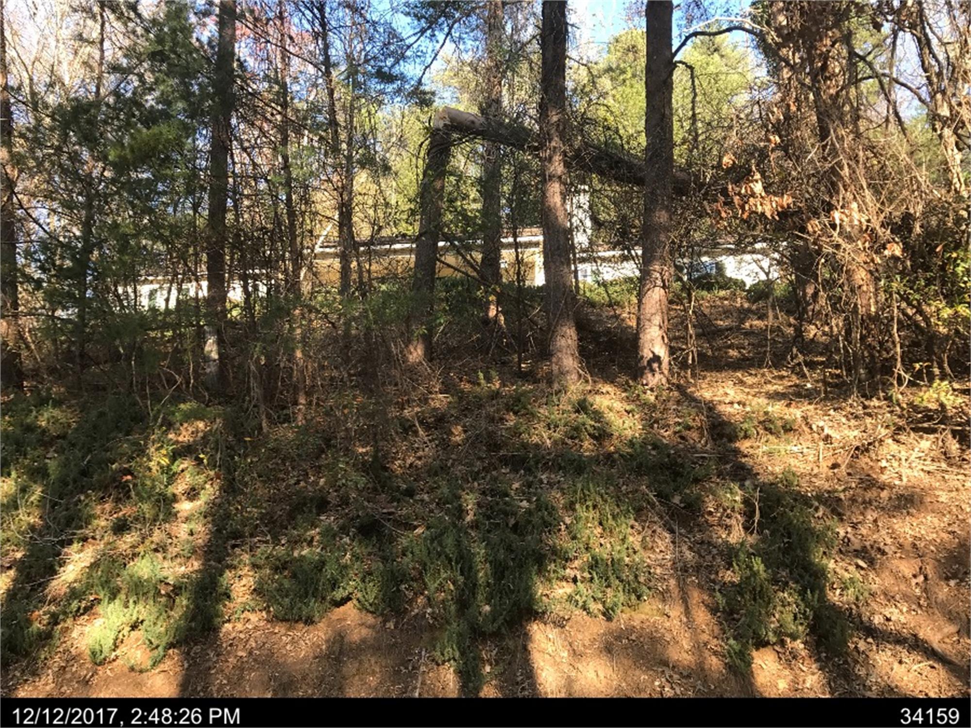 3611 Griffin Dr, Gainesville, GA 30506-3752