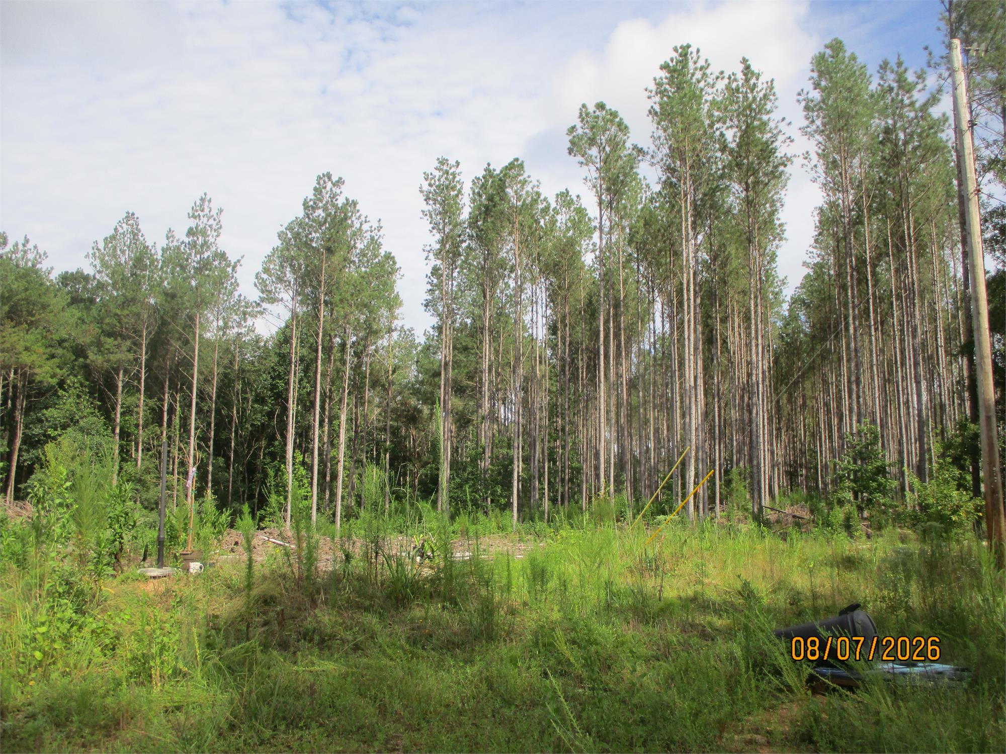 Cherokee Rd, Madison, GA 30629