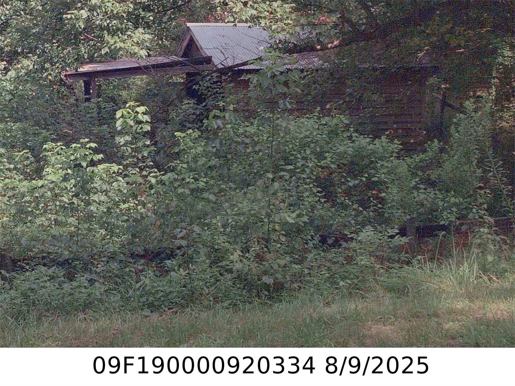 6785 White Mill Rd, Fairburn, GA 30213-2558