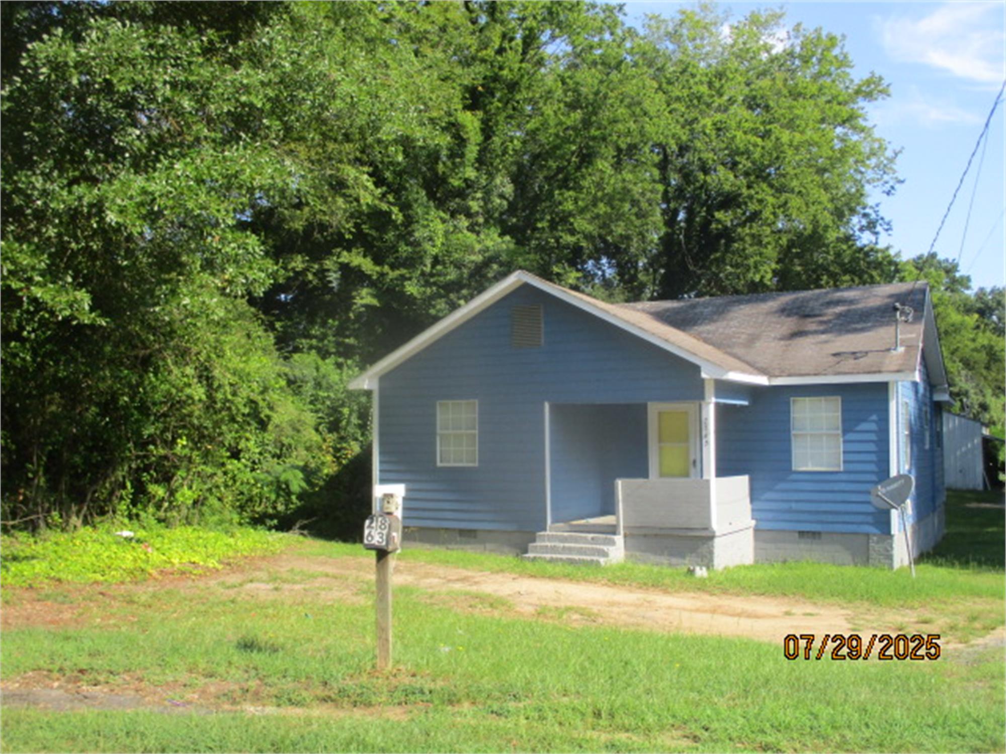 Photo 5