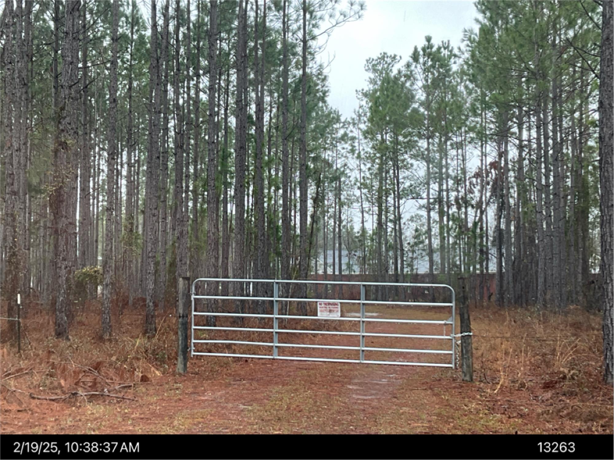 Piney Bluff Road, Baxley, GA 31513