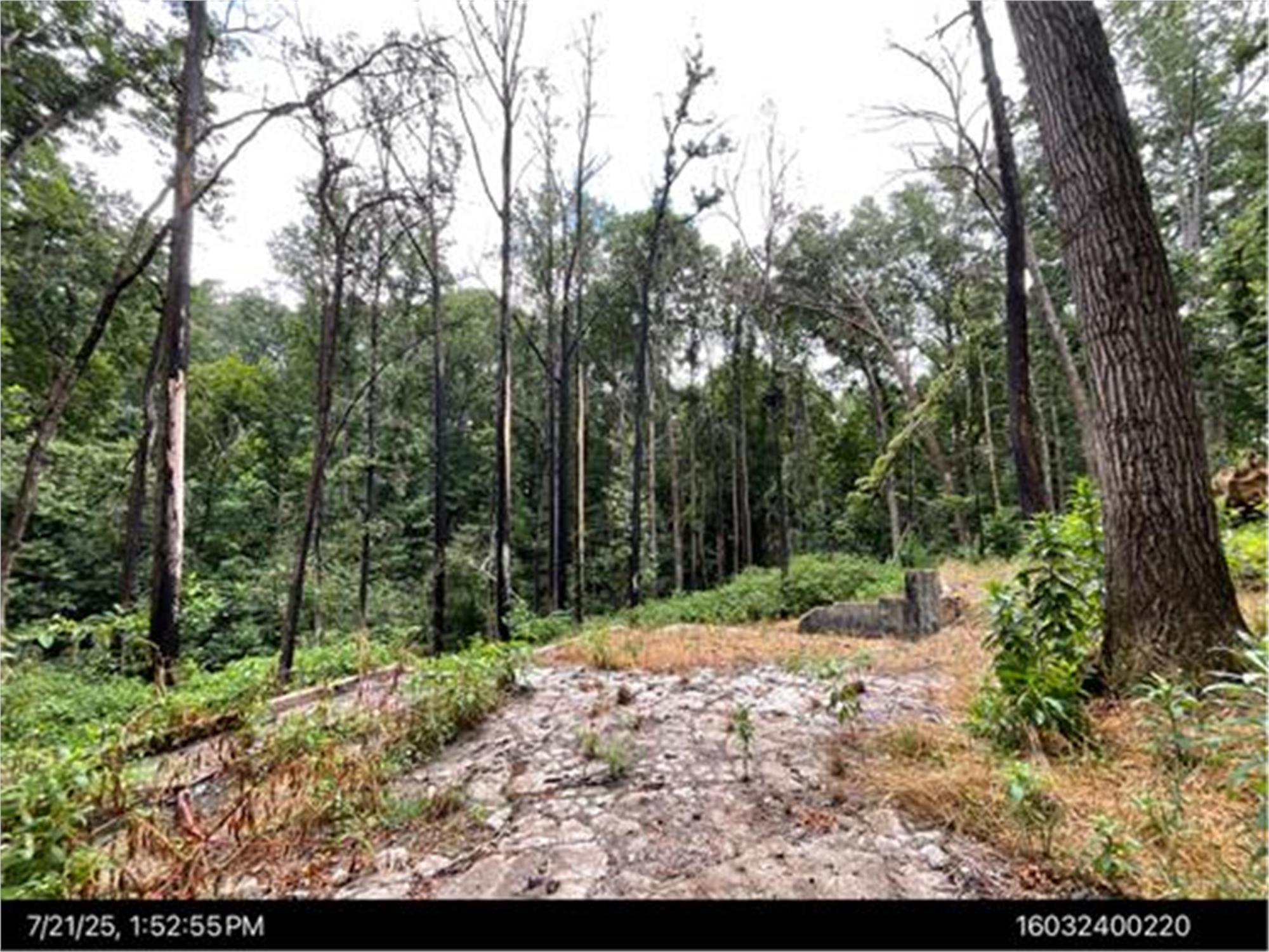 4265 Loch Highland Pass, Roswell, GA 30075-2035