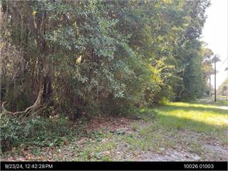 Oemler Loop, Chatham, GA 31410