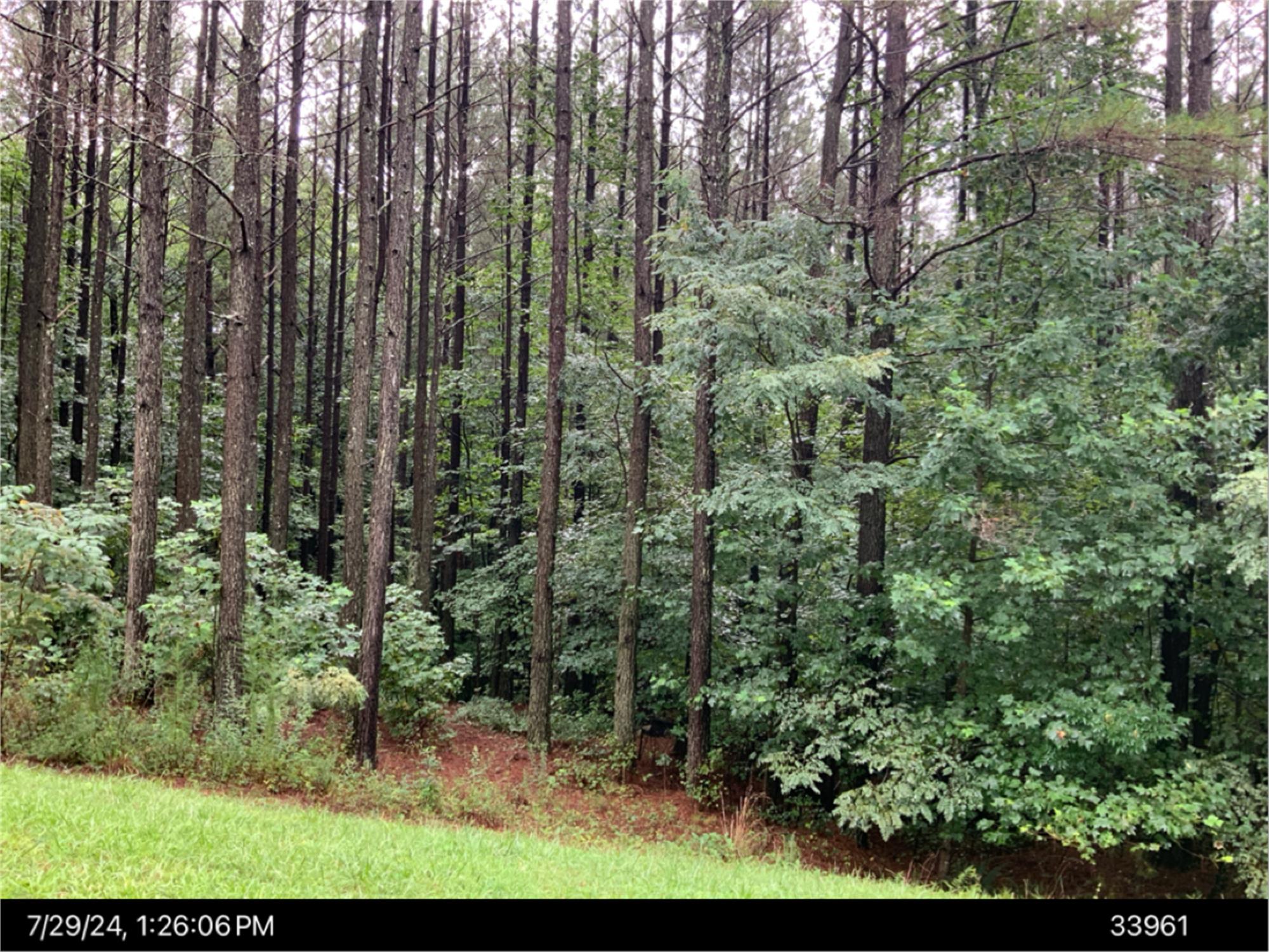 Black Bear Ridge Rd Lot 39, Gilmer, GA 30536