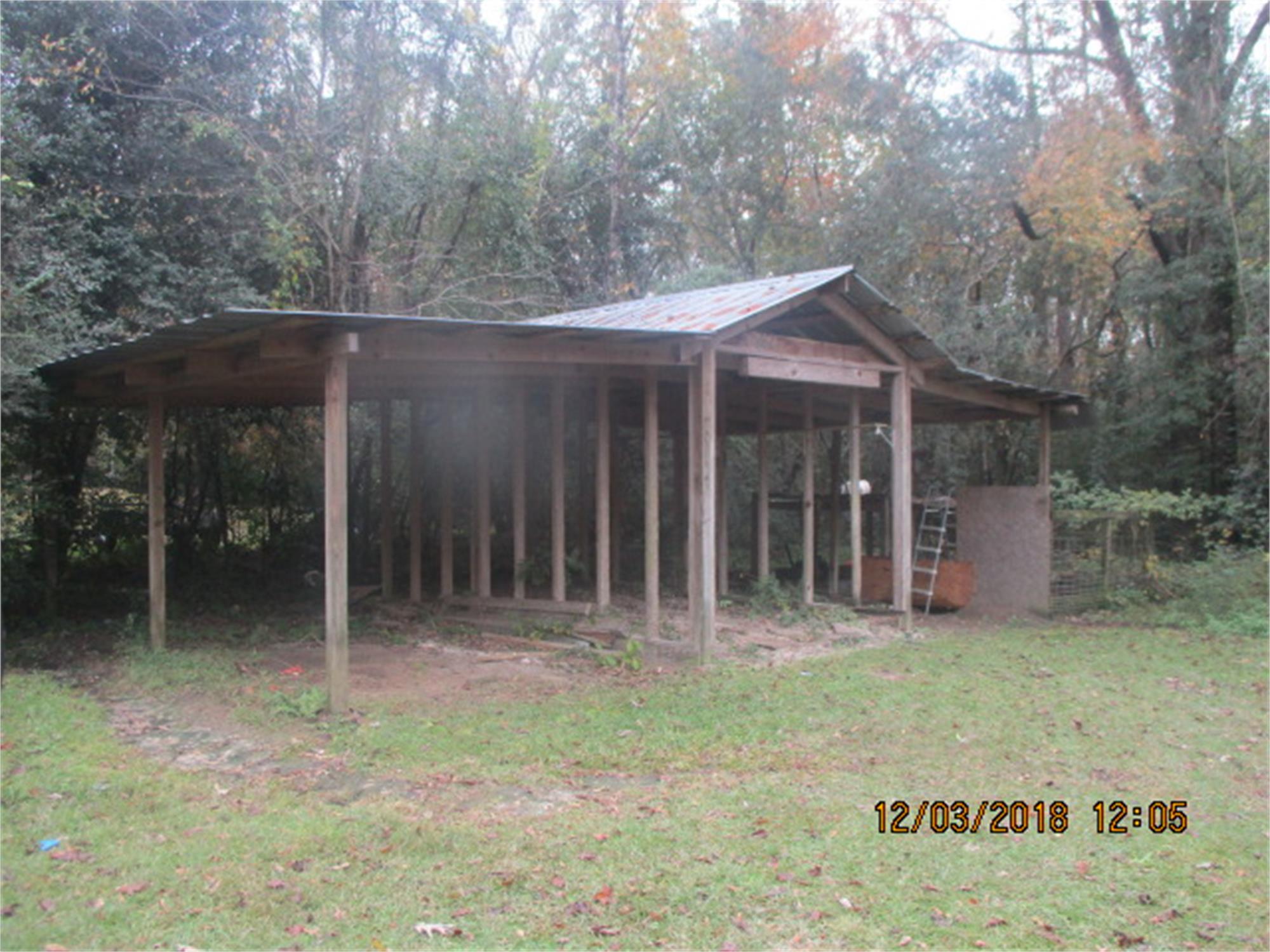 Photo 4