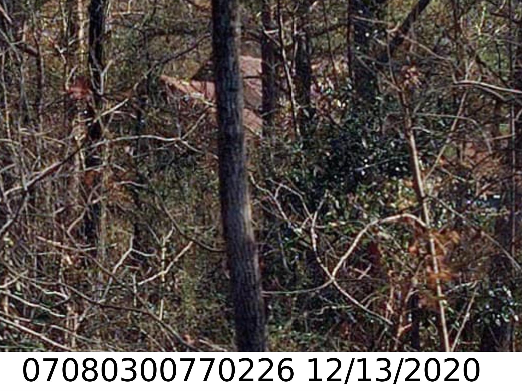 5800 Cascade Palmetto Hwy, Fairburn, GA 30213-2240