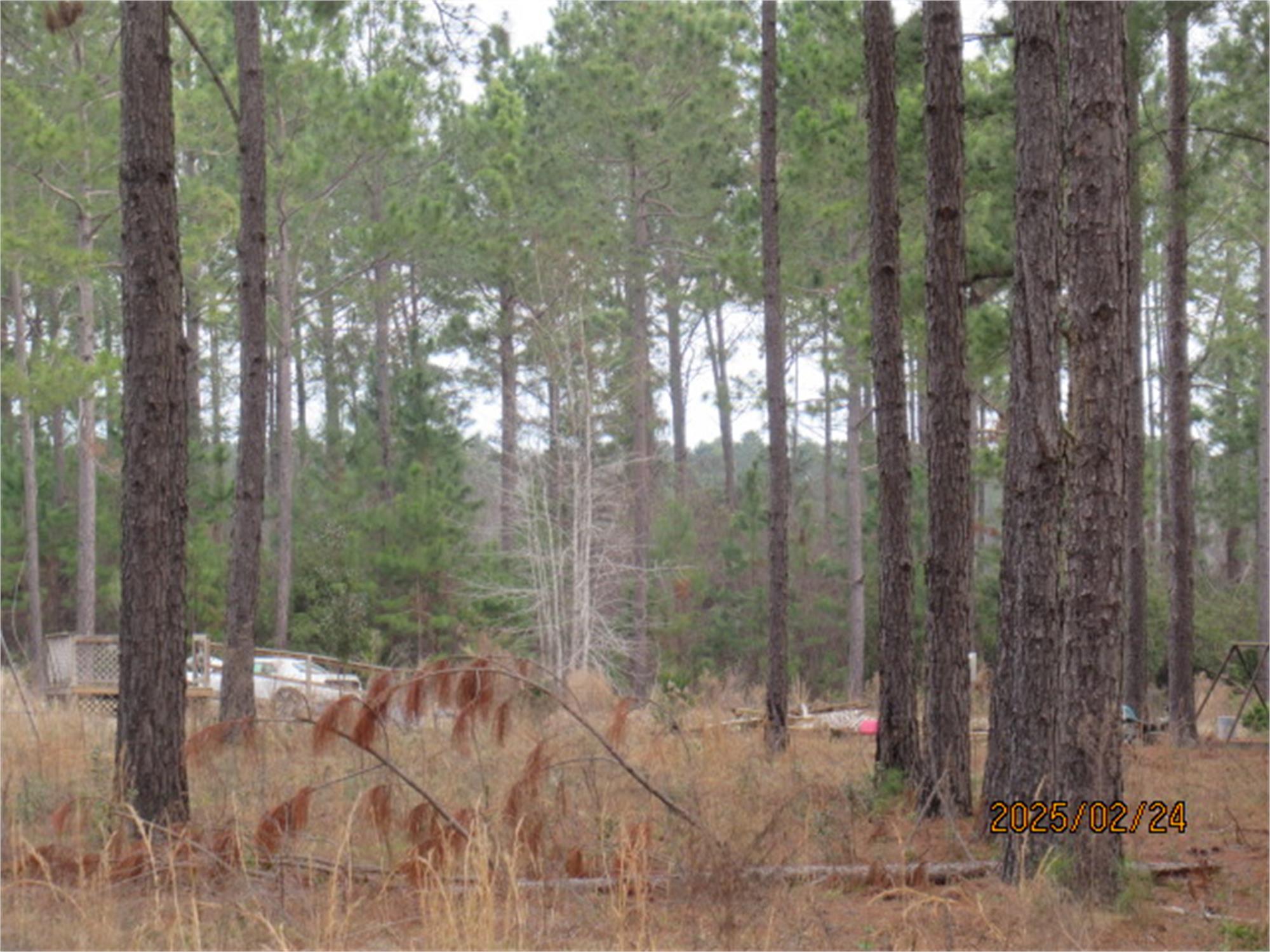 165 Creekside Way, Metter, GA 30439-7505