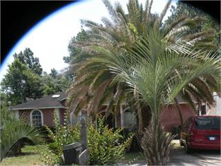 124 Wasp Dr, Brunswick, GA 31525-1926