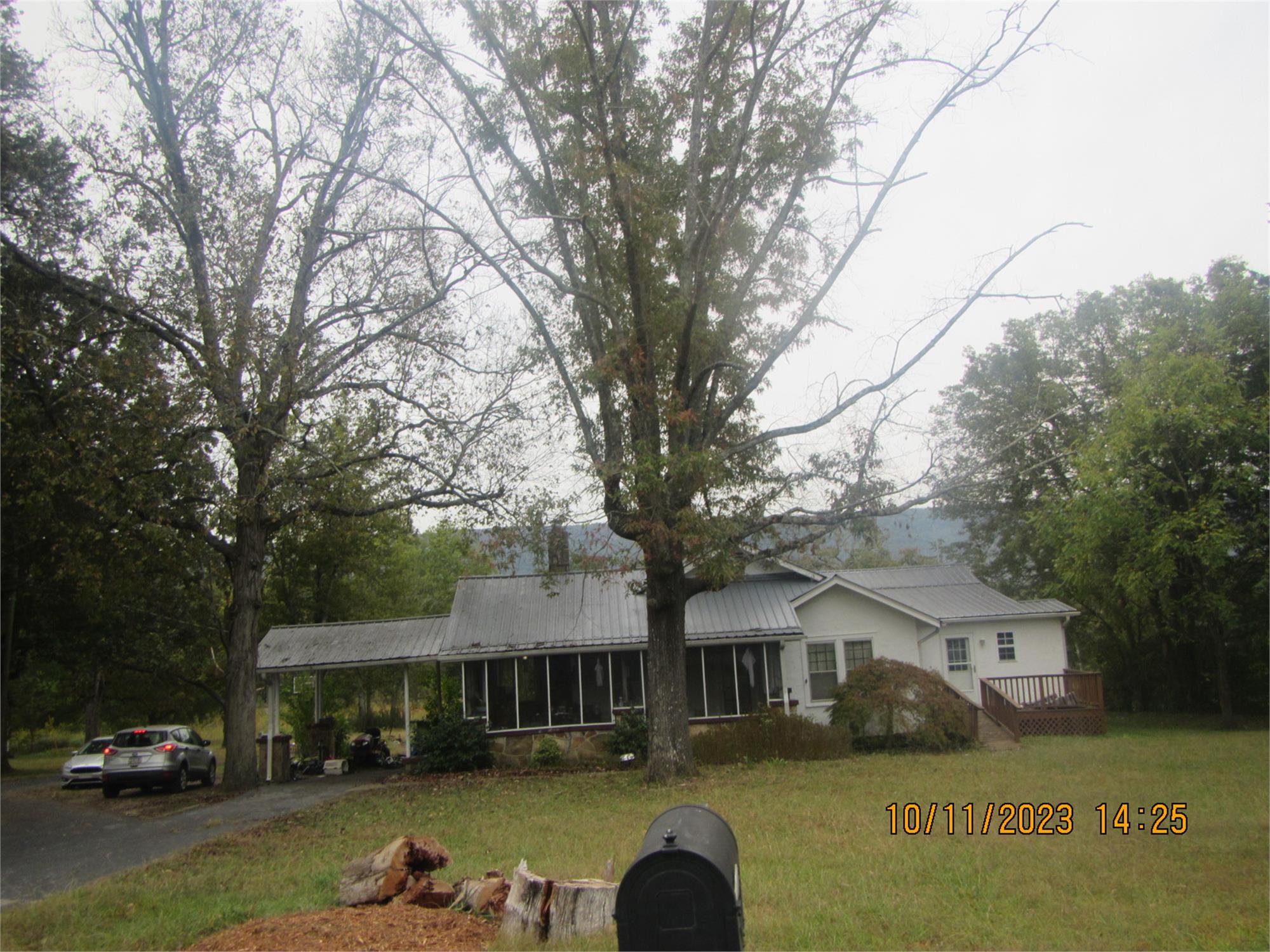 Photo 4