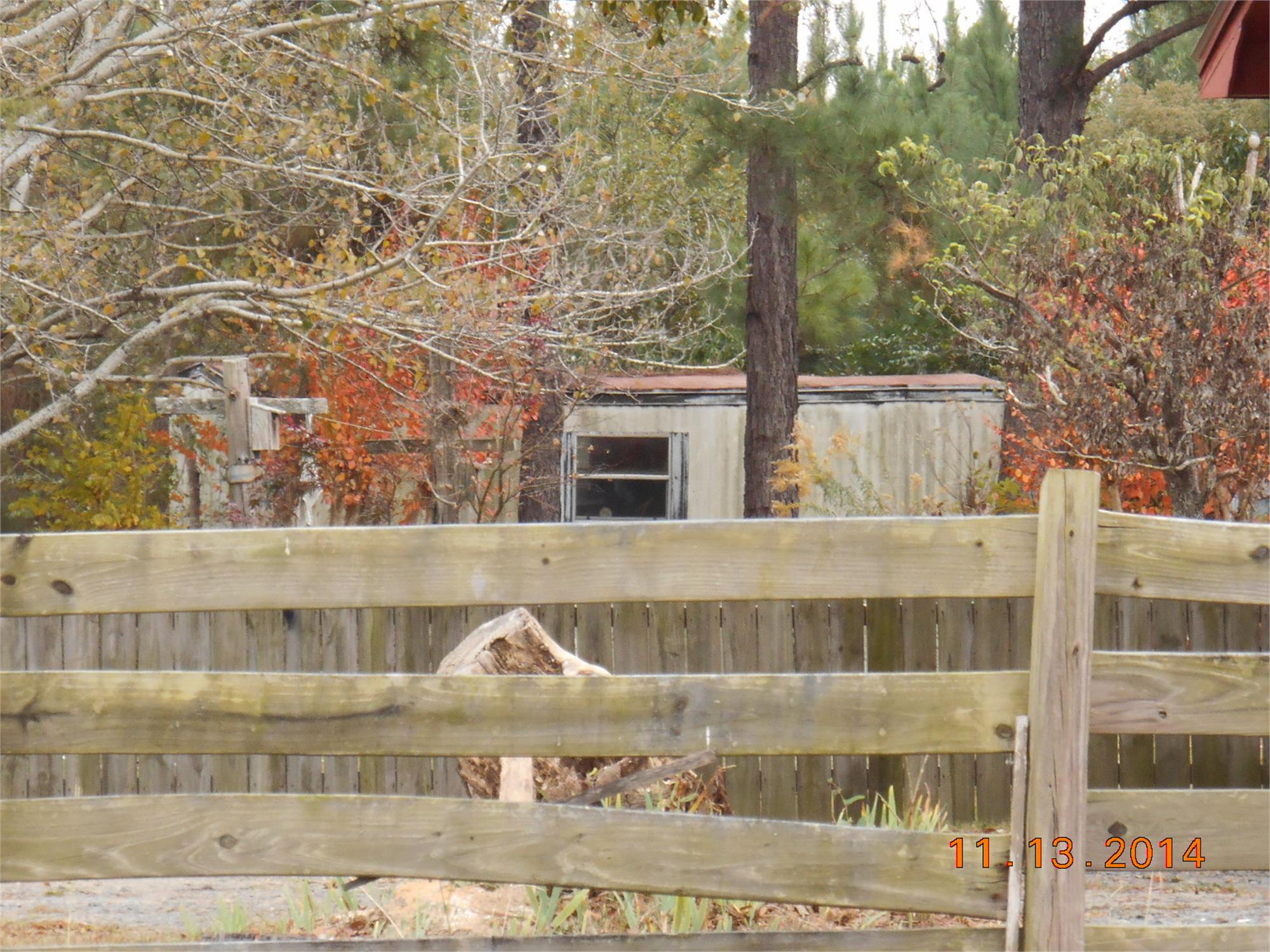 Photo 4