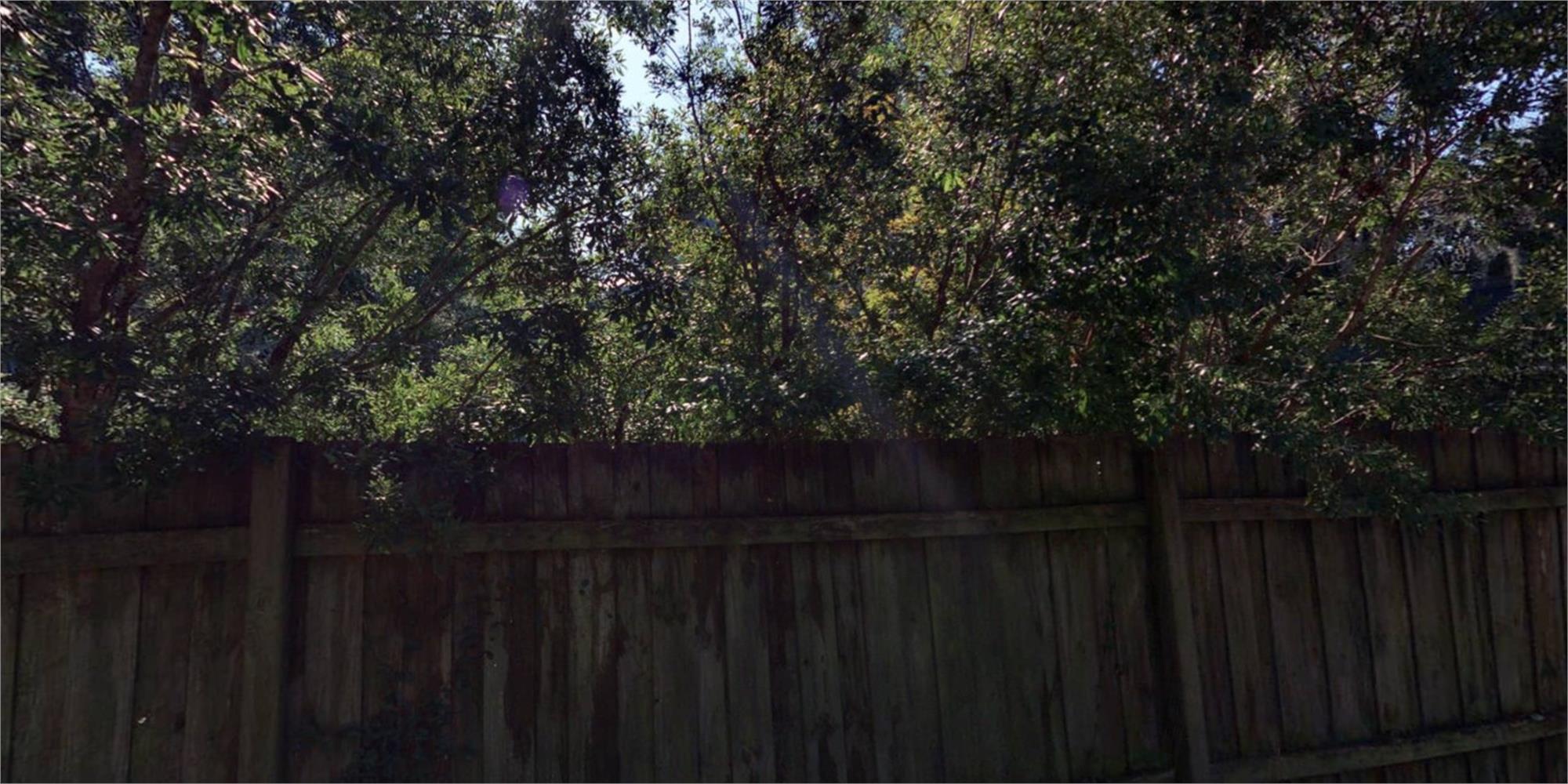 1118w E 49th St, Savannah, GA 31404-4012