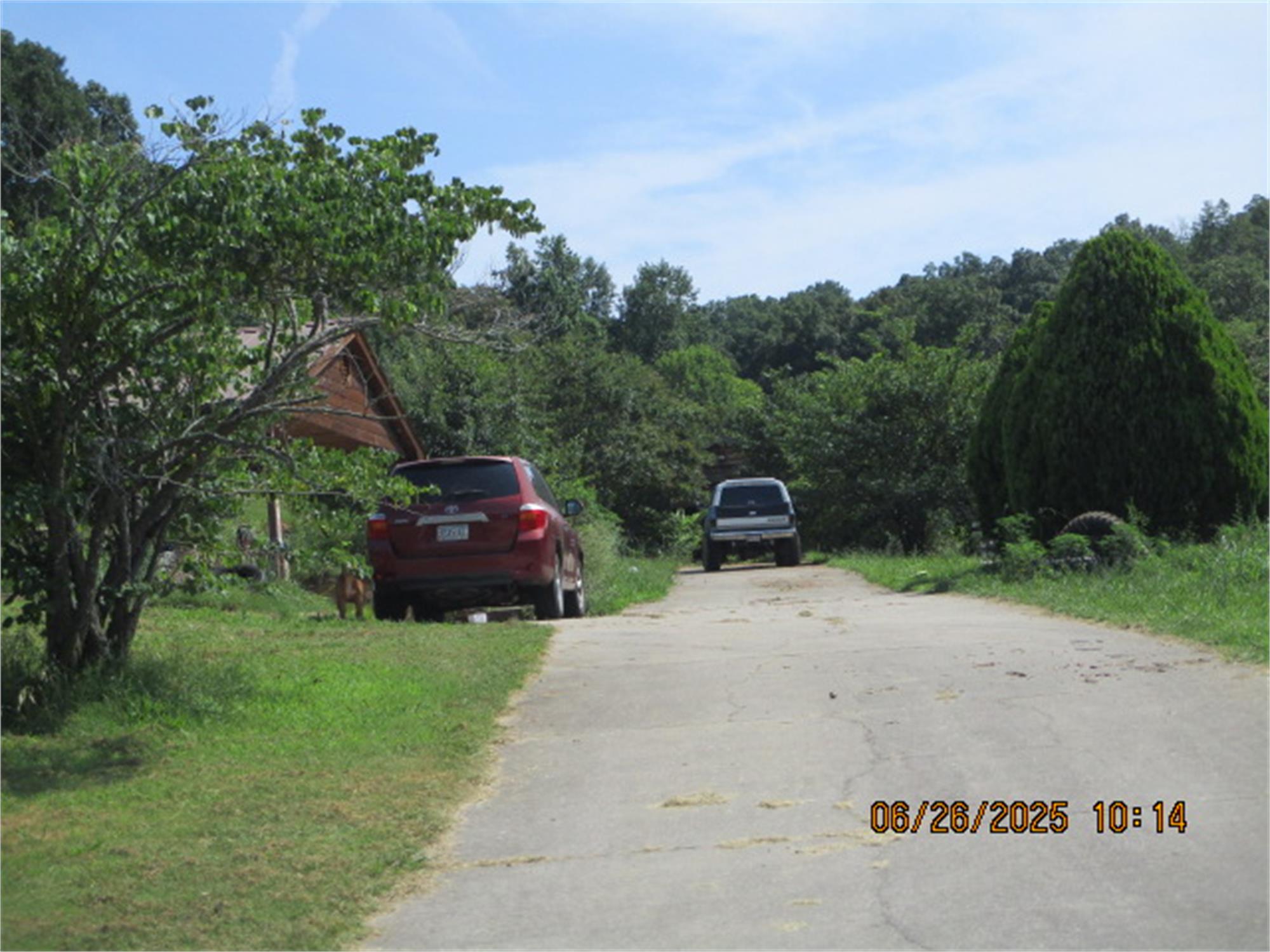 Photo 3