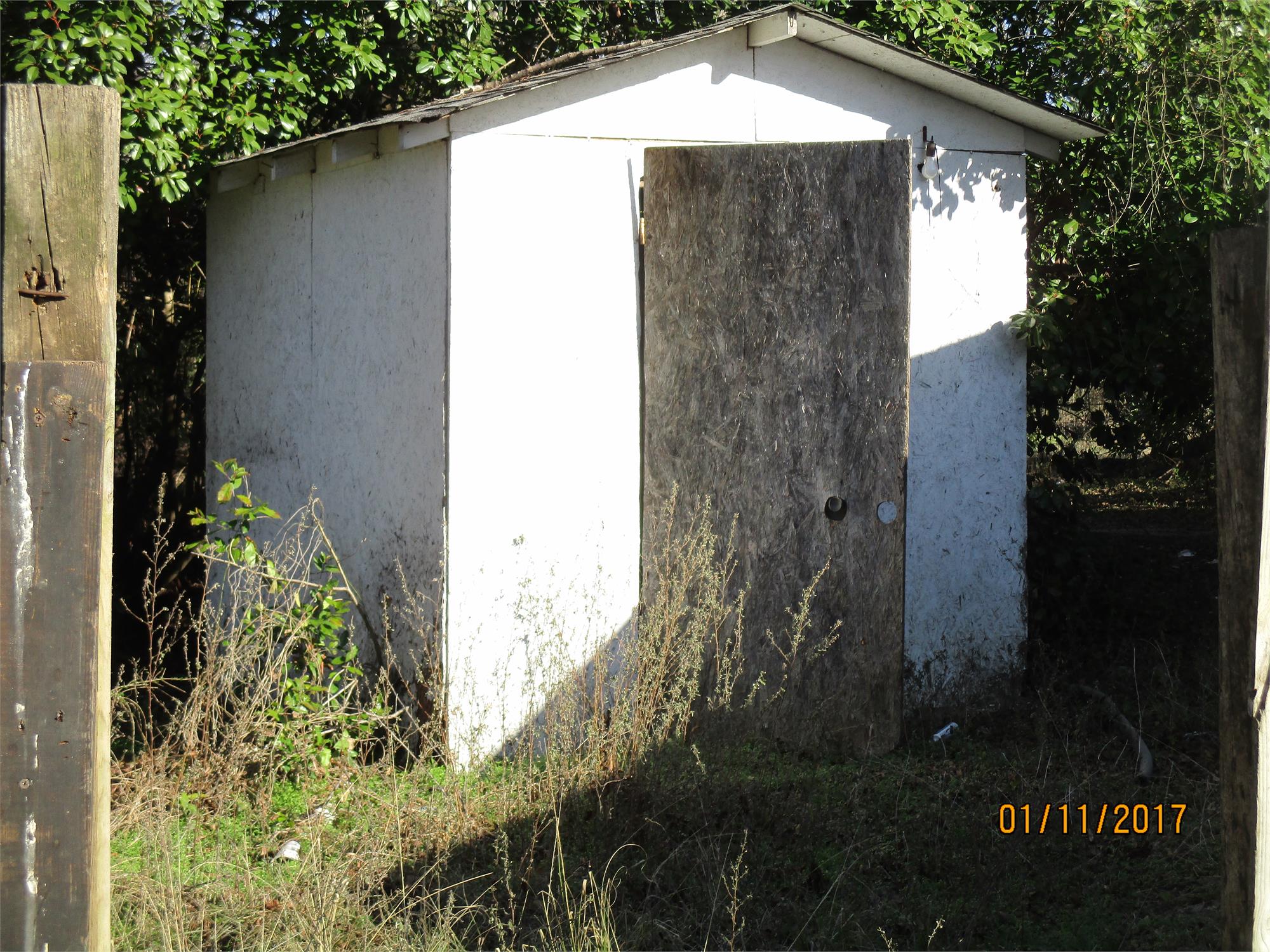 Photo 4