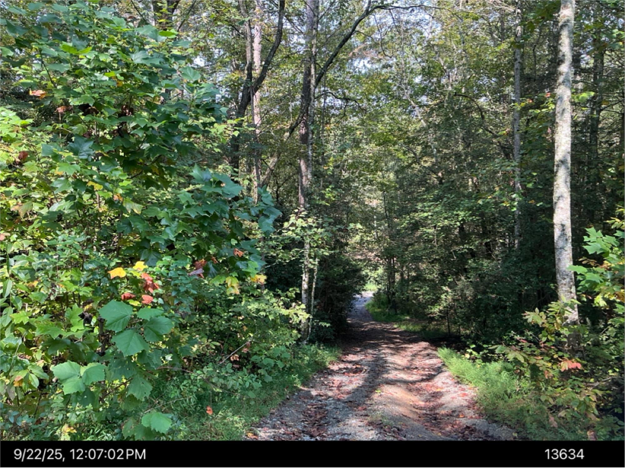 377 Dover Chapel Terrace, Ellijay, GA 30540-3480