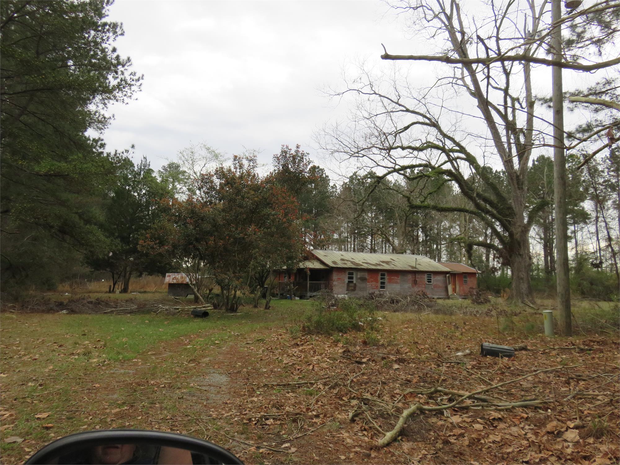 Photo 4
