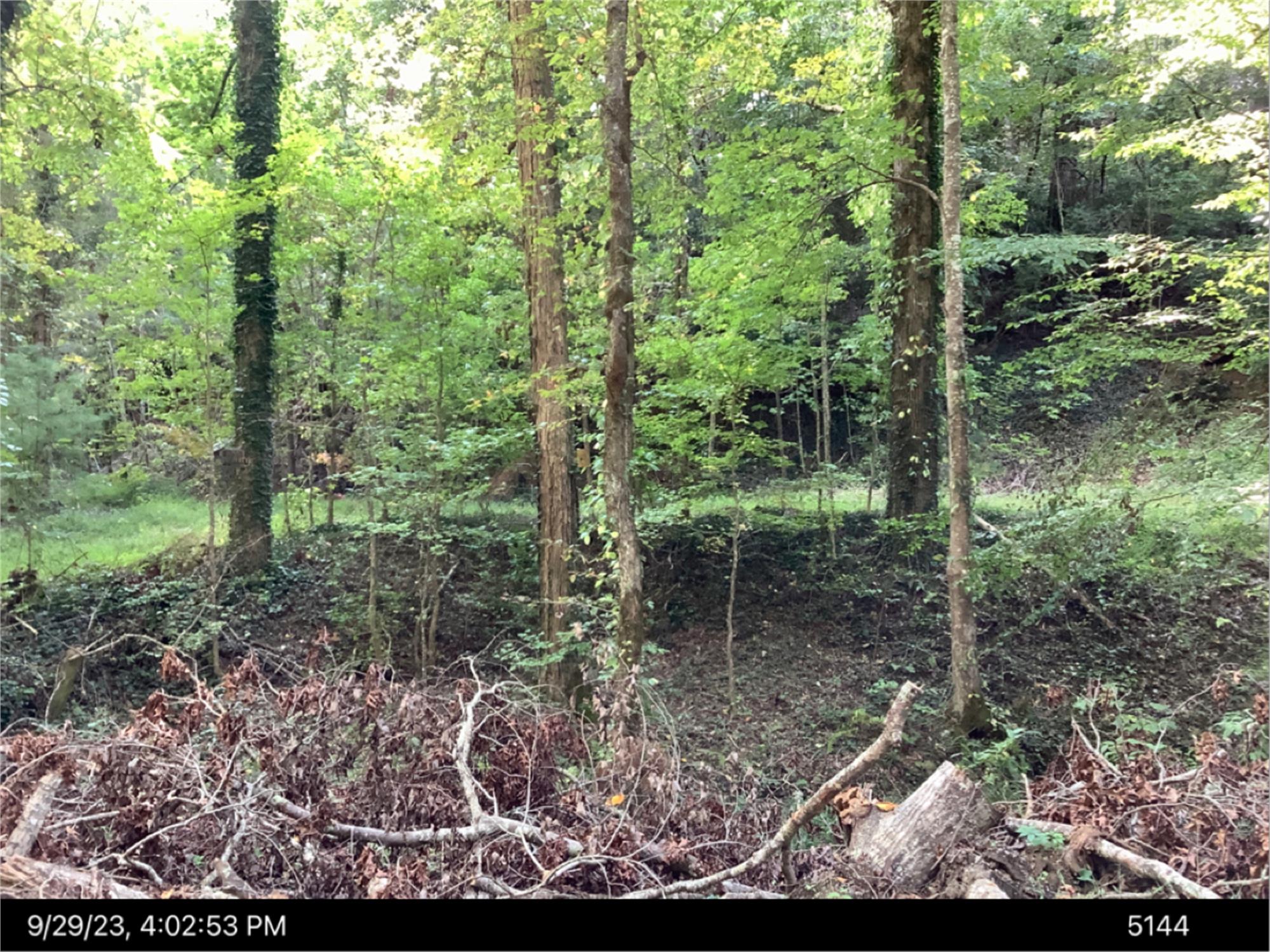 104 Ridgeway Church Rd, Ellijay, GA 30540-5108