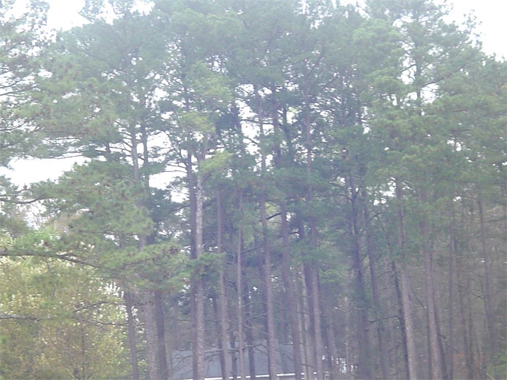 2740 Valleydale Dr Nw, Conyers, GA 30012-2718