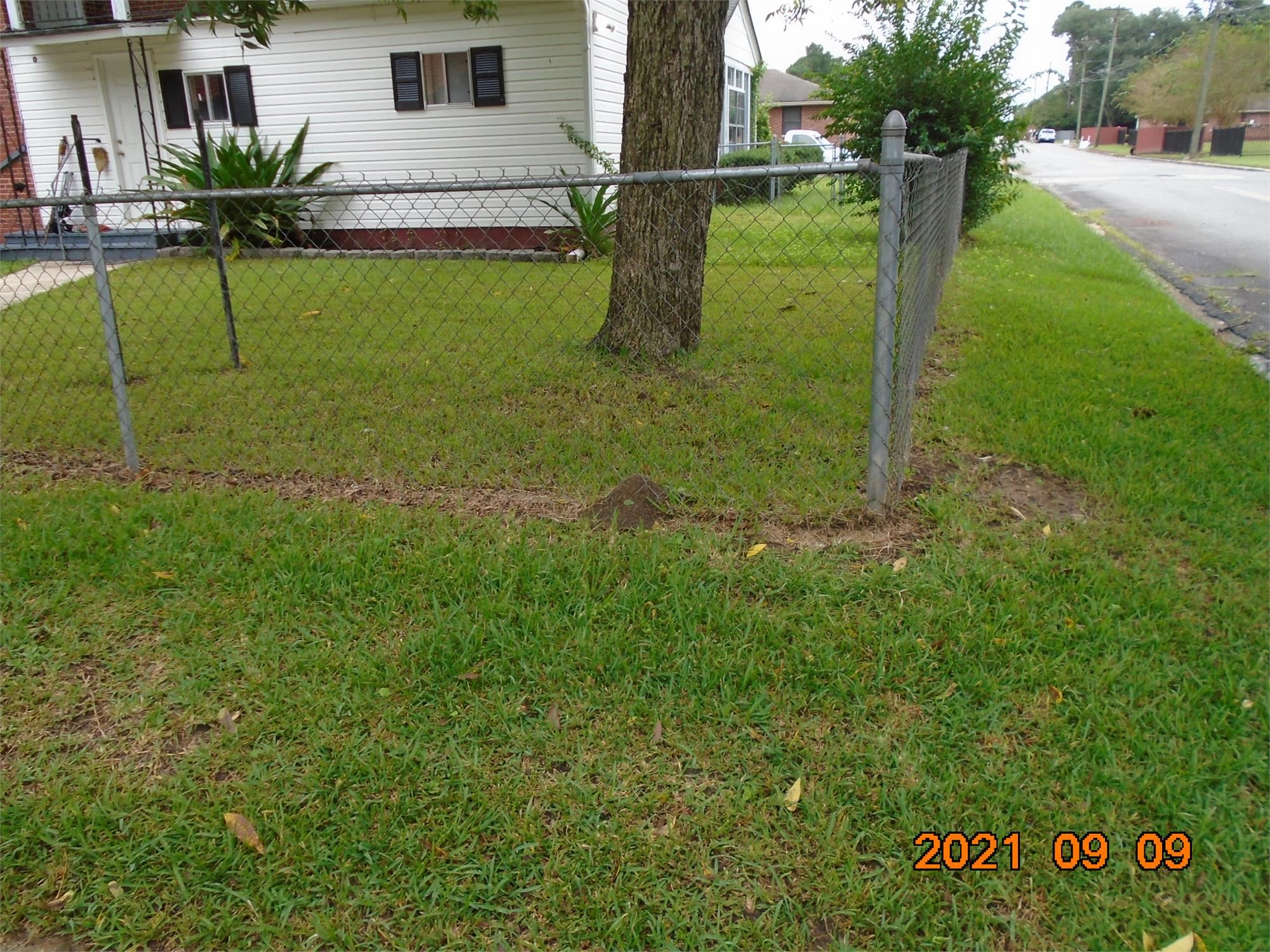 Photo 4