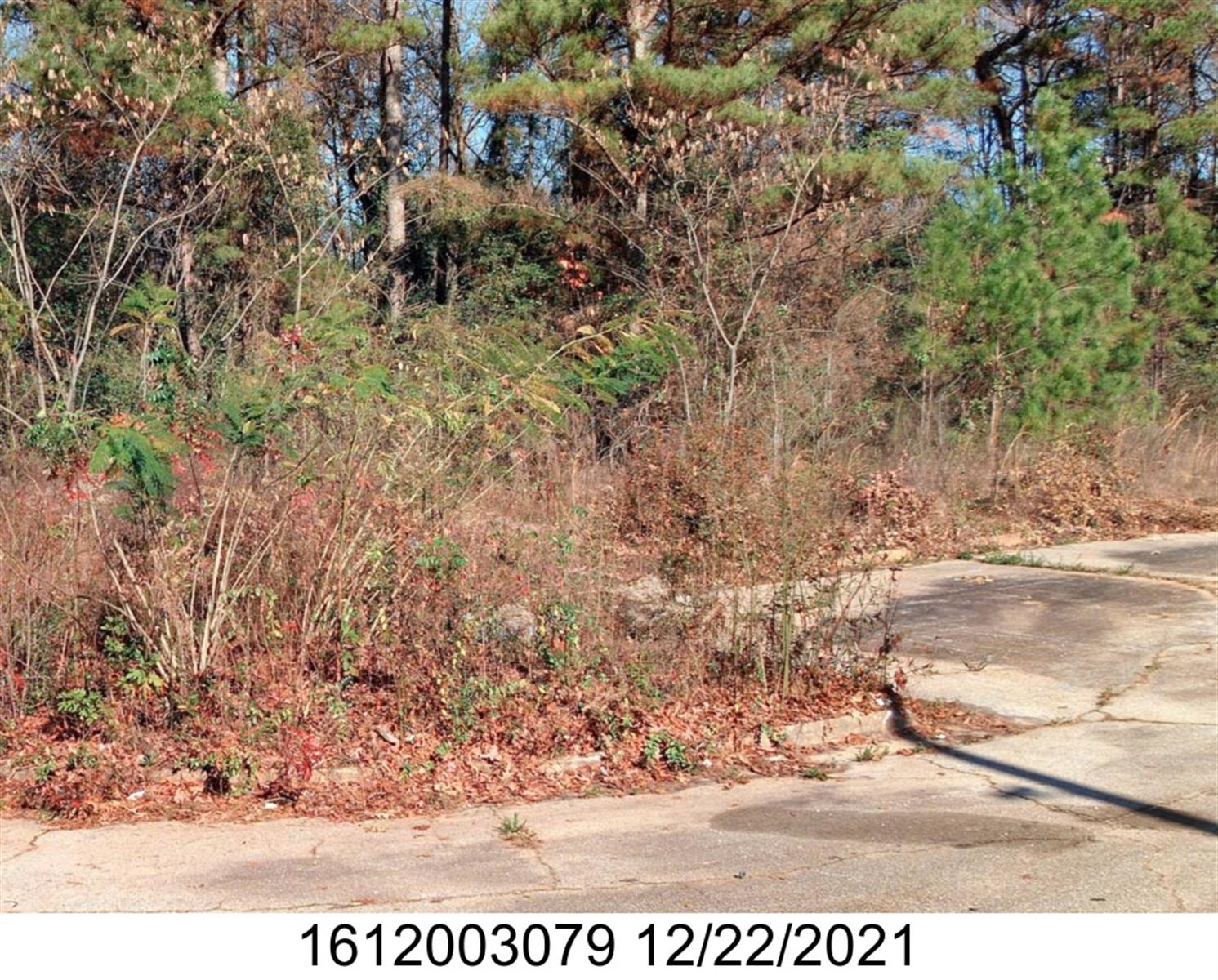2572 Evans Mill Drive, Lithonia, GA 30058