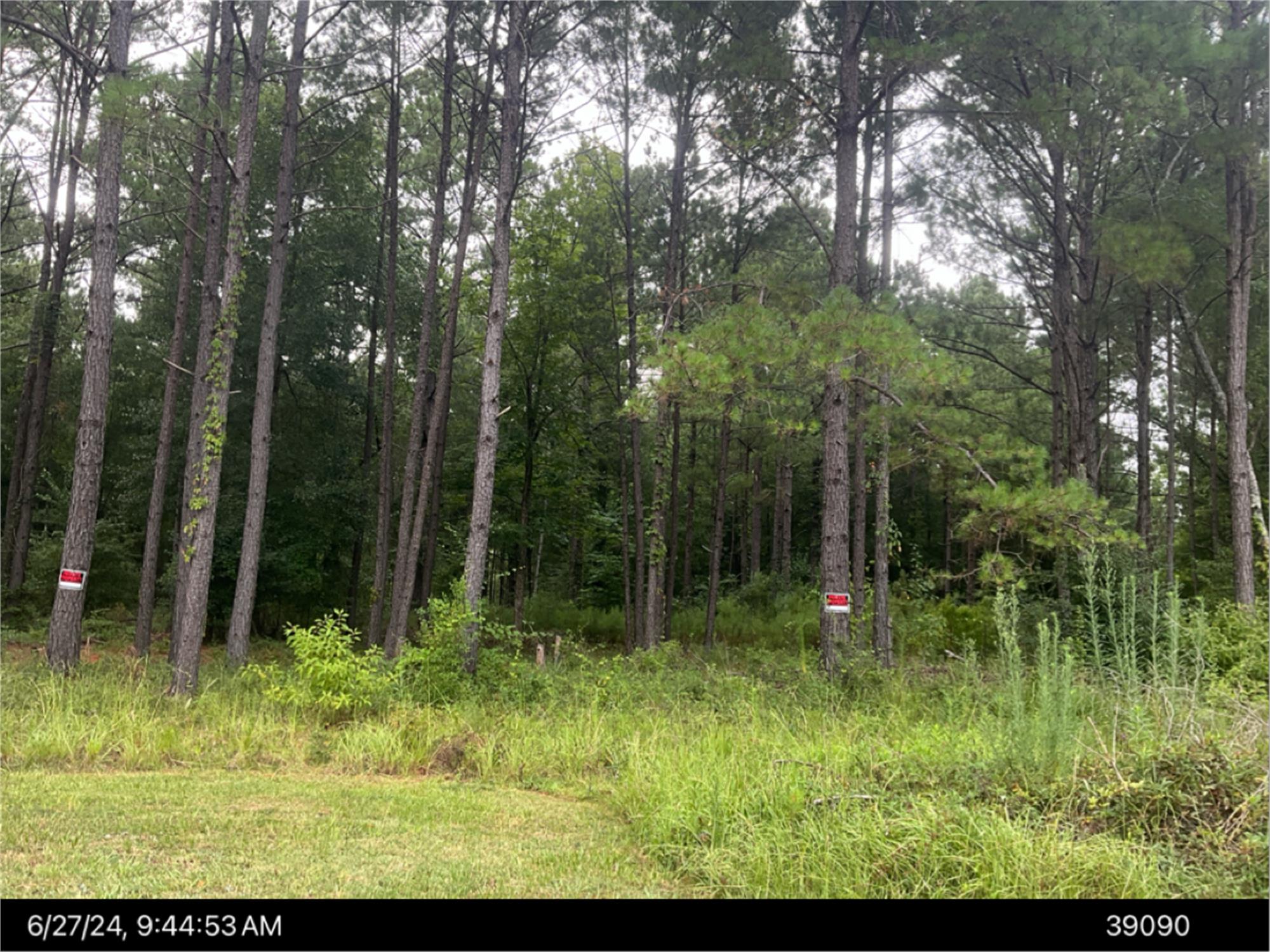 100 Everton Ct, Albany, GA 31721-9380