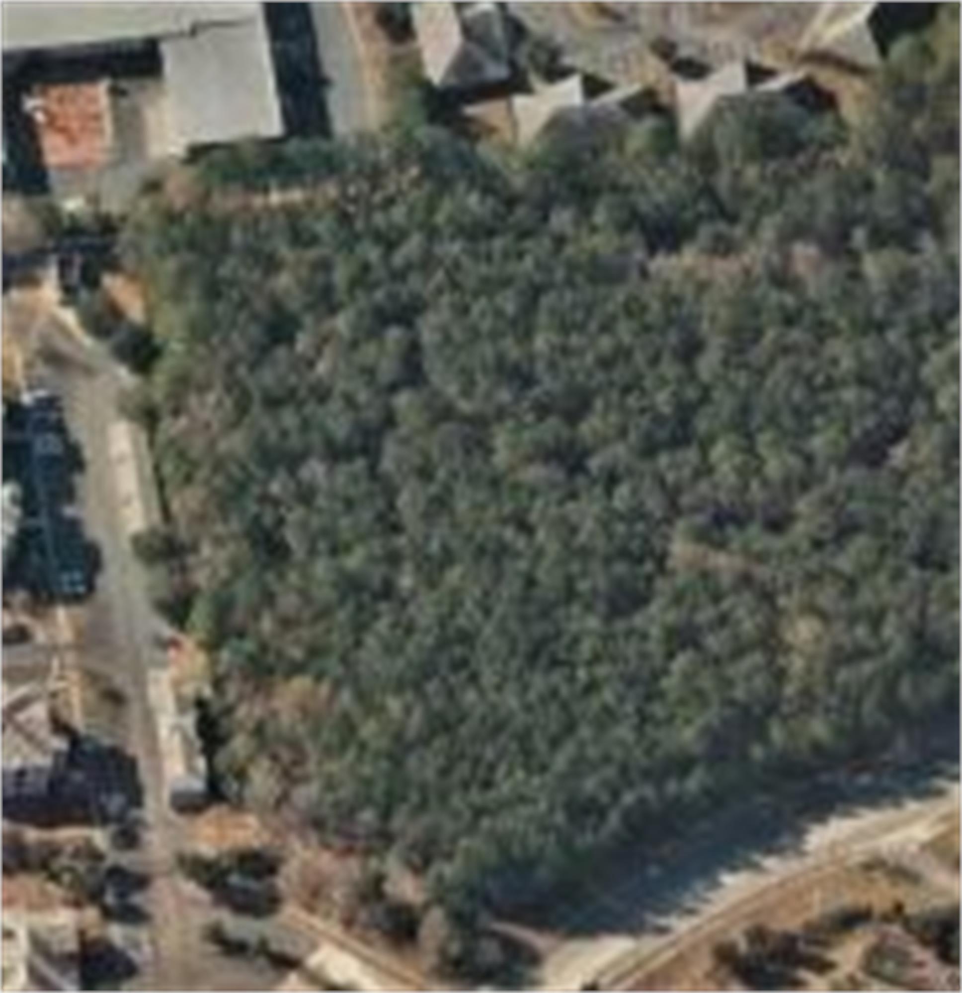 225 Park Ave, Pooler, GA 31322